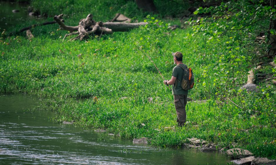 A man stands by a river with a fishing rod, surrounded by lush greenery in a tranquil forest setting.
