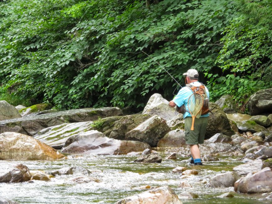 A man fly fishing in a tranquil river setting in Bristol, Vermont, surrounded by lush greenery and rocks.